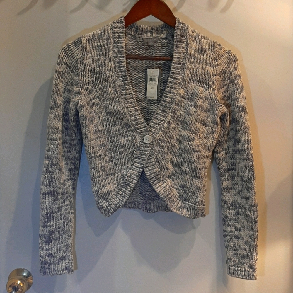 Ann Taylor sweater